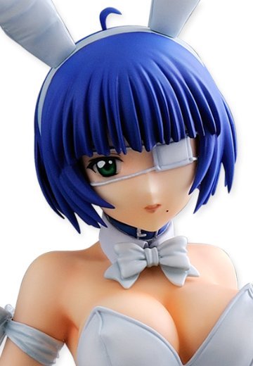 一骑当千 集鍔闘士血風録 吕蒙子明 兔女郎Ver. | Hpoi手办维基