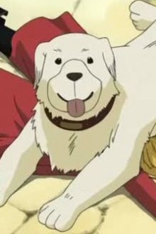 アレキサンダー