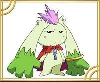 ポコタ