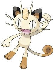 喵喵 （火箭队）