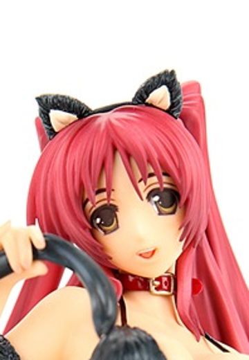  向坂环アニコス黑猫Ver. | Hpoi手办维基