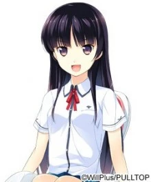 羽羽音小鸟
