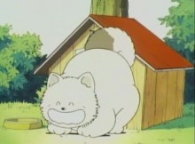 パンチ