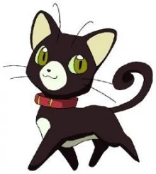 コネコ