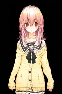向日葵