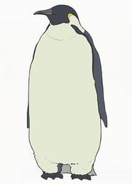 企鹅