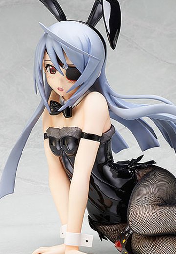 IS〈无限斯特拉托斯〉 拉芙拉 兔女郎版 | Hpoi手办维基