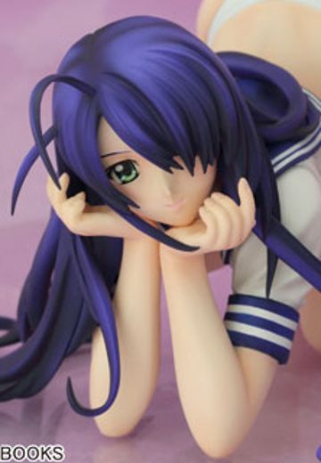 一骑当千 关羽云长 DVD裏ジャケver.  | Hpoi手办维基