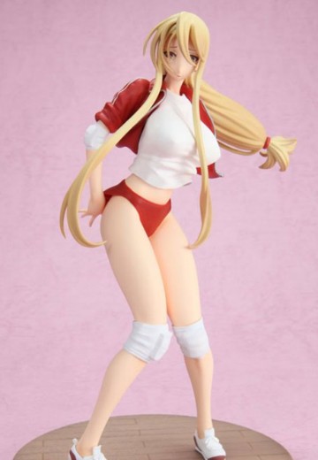 学园默示录 HIGHSCHOOL OF THE DEAD 鞠川静香 体操服Ver. | Hpoi手办维基