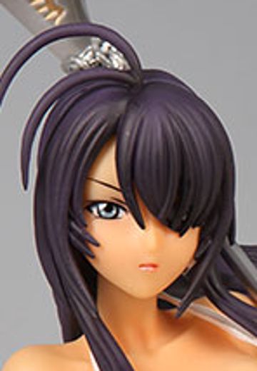 一骑当千 XX 关羽云长 ミス・フォトジェニック 通常版（褐色） | Hpoi手办维基