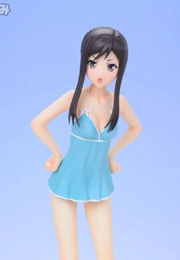 BEACH QUEENS 花开物语 鹤来民子