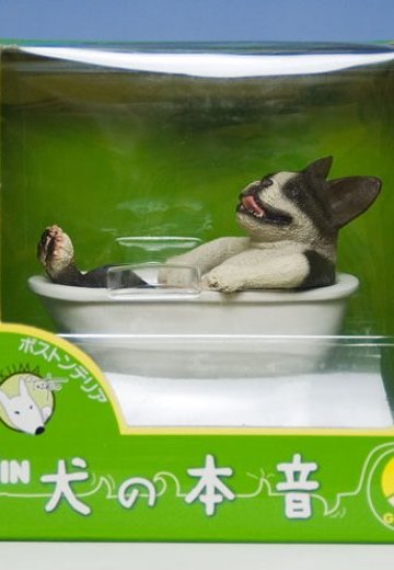 朝隈俊男コレクション 犬の本音 ボストンテリア 