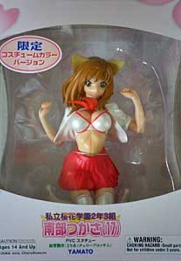 SIF EX 私立桜花学園 南部つかさ 2004東京ホビーショー限定色(茶髪) | Hpoi手办维基