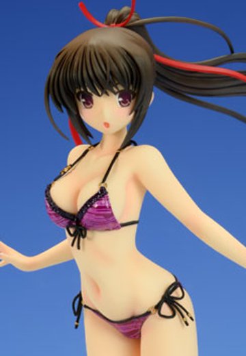 BEACH QUEENS 大图书馆的饲羊人  樱庭玉藻 