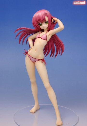 旋风管家！ 桂雏菊