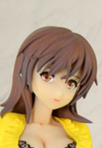 白日梦系列 vol.13 ボクだけの先生「雫」 課外授業ver.  | Hpoi手办维基