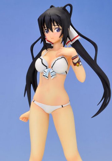 沙滩女王  IS〈无限斯特拉托斯〉 筱之之帚 泳装 | Hpoi手办维基