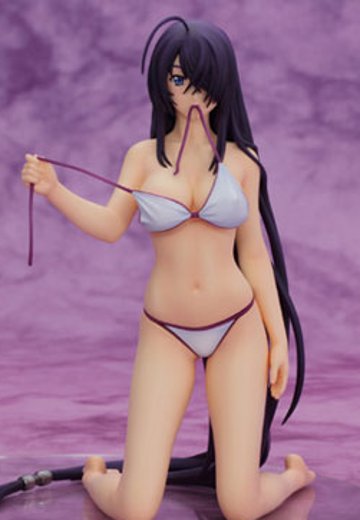 一骑当千 集鍔闘士血風録 关羽云长 -水着ver.- 