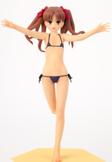 沙滩女王 魔法的禁书目录（茵蒂克斯） 白井黑子 电击限定版