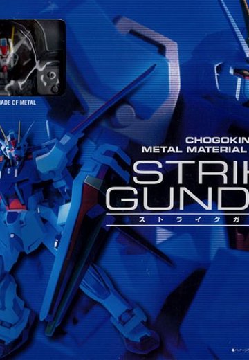 CHOGOKIN METAL MATERIAL MODEL 强袭高达