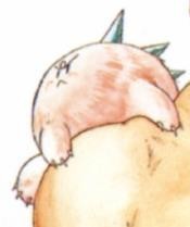 波奇
