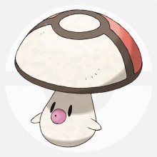 宝贝球菇
