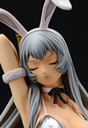 一骑当千 Extravaganza Epoch 赵云子龙 兔女郎特别版 | Hpoi手办维基