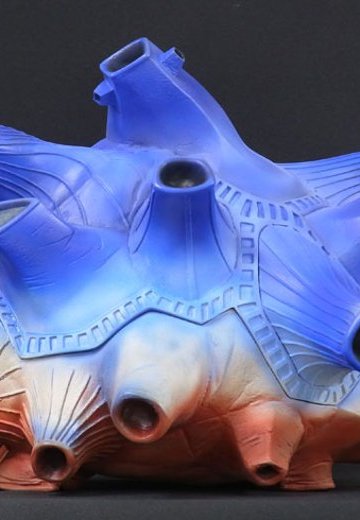 大怪兽系列巨型 布鲁顿