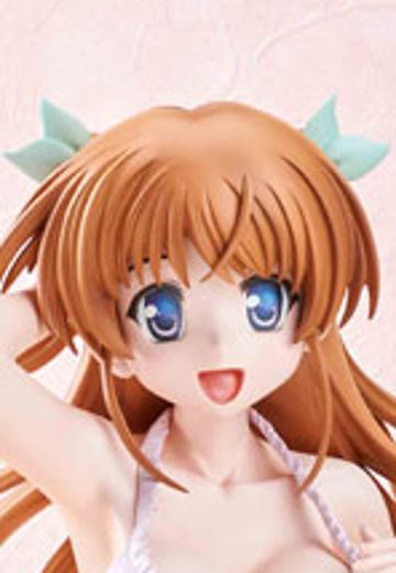 大图书馆的饲养人 白崎鸫