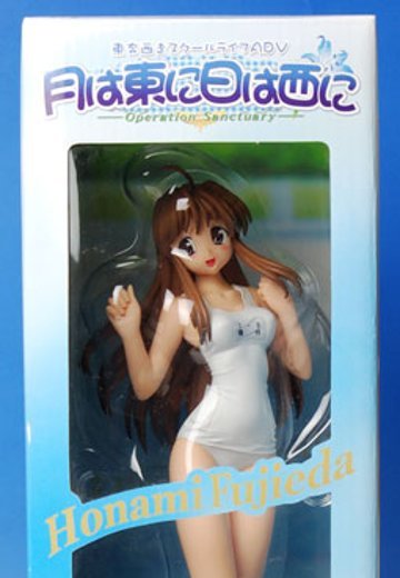 月は东に日は西に 藤枝保奈美 白スク水Ver. | Hpoi手办维基