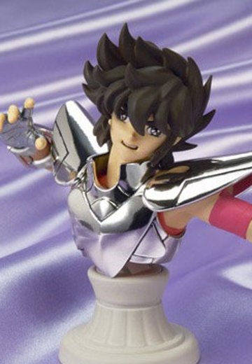 圣闘士圣衣神话APPENDIX 天马座 星矢 最终青铜圣衣