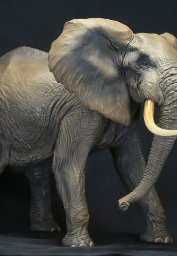 メガソフビアドバンス MSA-007 非洲象 | Hpoi手办维基