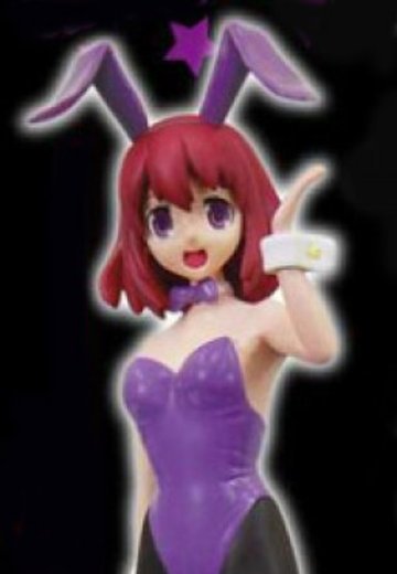 龙与虎 栉枝実乃梨 兔女郎Ver. | Hpoi手办维基