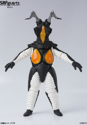 S.H.Figuarts   芝顿