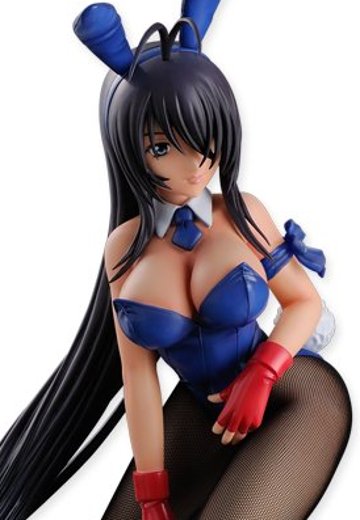 一骑当千 集鍔闘士血風録 关羽云长 兔女郎Ver.