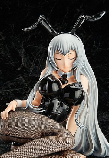 赵云子龙 兔女郎版 | Hpoi手办维基