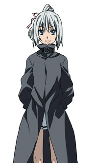 布鲁郗·芙尔基