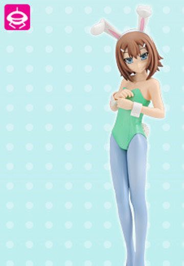 Extra Figure 笨蛋测试召唤兽 木下秀吉 Bunny ver.  | Hpoi手办维基