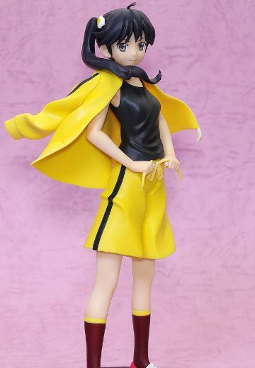 DX手办 化物语&伪物语 阿良々木火怜 