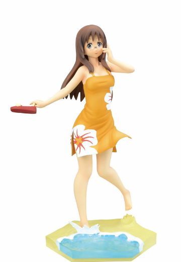 HGフィギュア けいおん！ 山中さわ子 Summer Beach 泳装ver.  | Hpoi手办维基