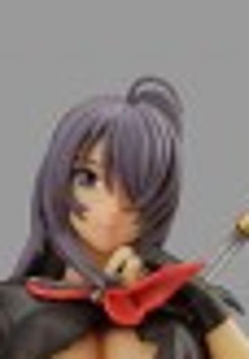 一骑当千 Great Guardians 関羽云长 Costume Carnival - Black/Red ver. | Hpoi手办维基