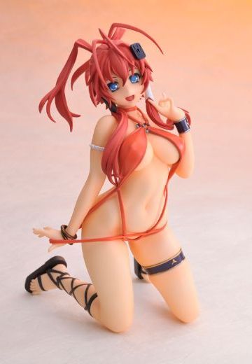 百花缭乱 柳生十兵卫 泳装版