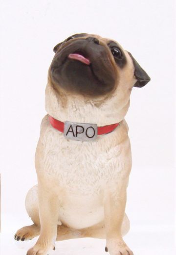 宇宙兄弟 アポ Limited Edition  | Hpoi手办维基