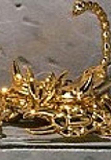 Scorpio Cloth Object