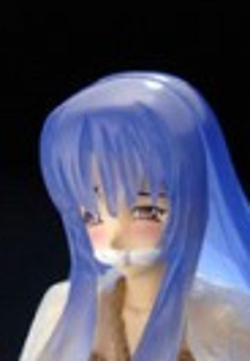 凤凰戦姫 舞梦 神凤舞梦 Type B Volume 1  | Hpoi手办维基