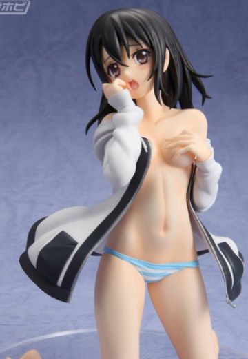 噬血狂袭 姬柊雪菜