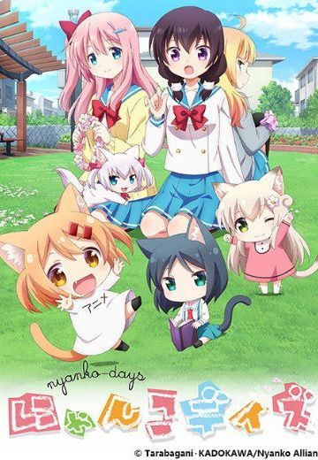 猫咪日常