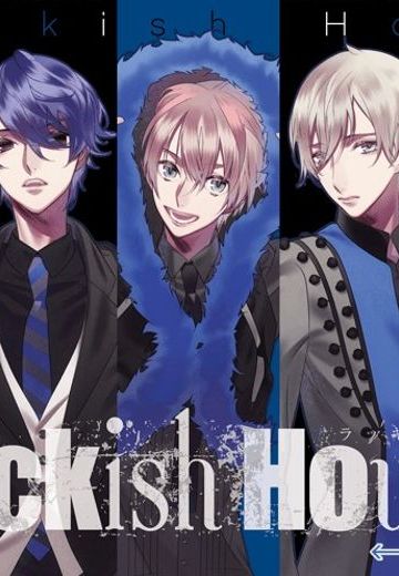 Blackish House ←sideZ