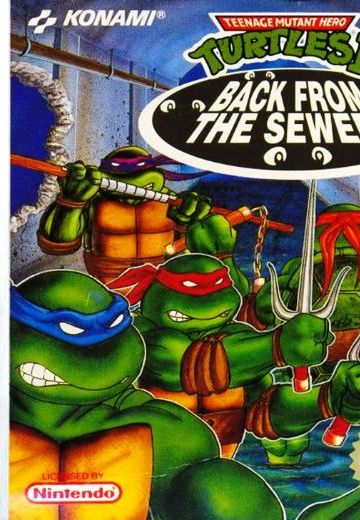 忍者神龟2：回到下水道