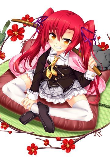 野良与皇女与流浪猫之心 2